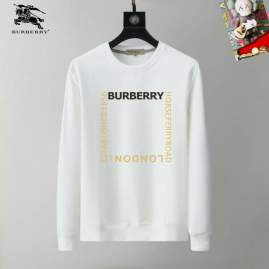 Picture of Burberry Sweatshirt _SKUBurberryM-3XL25tr21530770